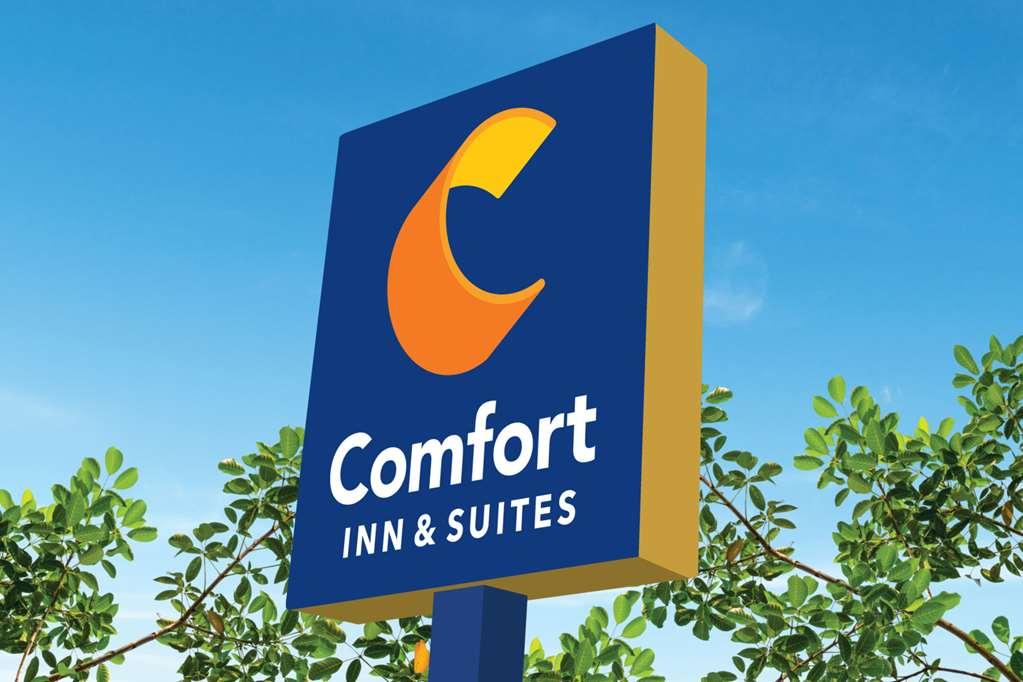 Comfort Inn & Suites High Point - Archdale Exterior foto